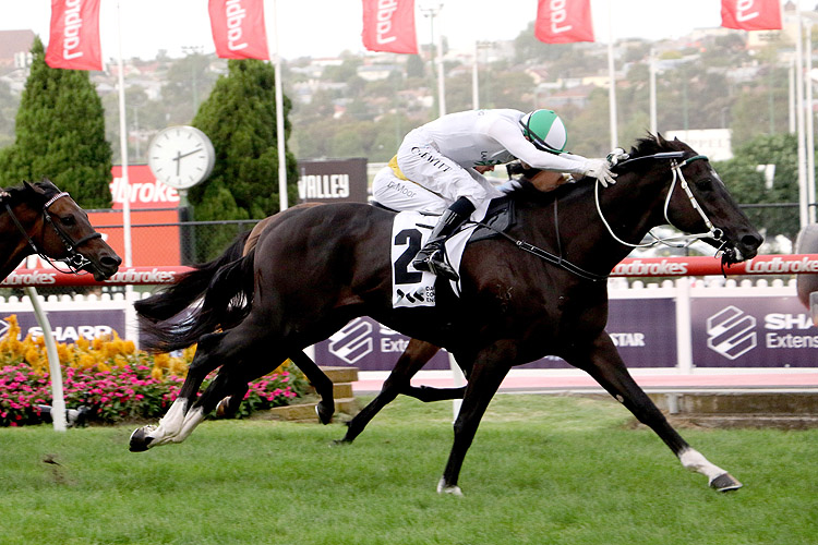 BANK MAUR winning the DCE Alister Clark Stakes