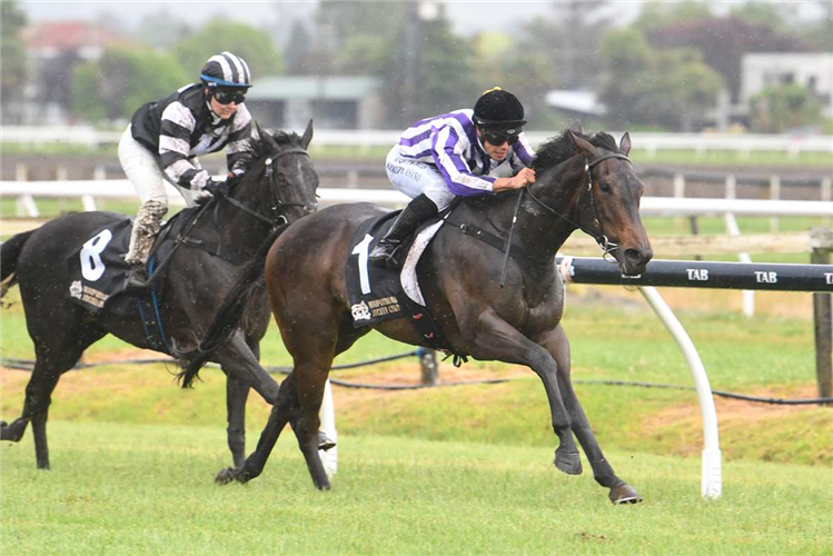 BEDTIME STORY winning the DMAK ELECTRICAL & AIR CONDITIONING 3YO MAIDEN