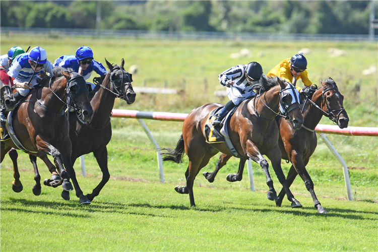 BELCLARE(black & white stripes) winning the CLUBS NZ STRAW HATS AT THE RACES WAIRARAPA THOROUGHBRED BREEDERS STAKES