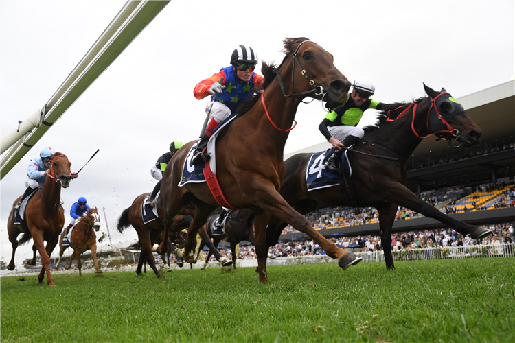 BELLA NIPOTINA winning the Giga Kick Stakes in Rosehill, Australia.