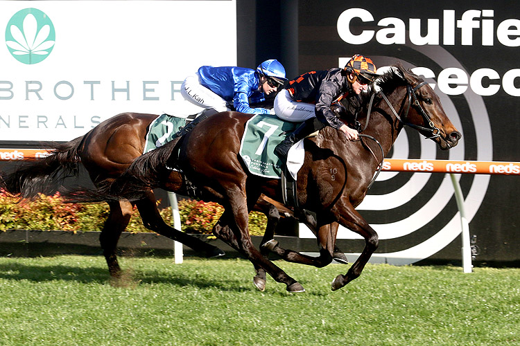 BENEDETTA winning the Tobin Brothers Cockram Stakes