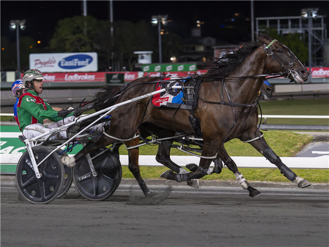 BETTER ECLIPSE winning heat nine of the 2023 Inter Dominion Pacers Championship at Albion Park
