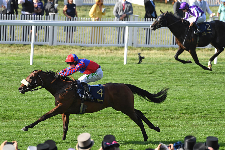 BIG EVS winning the Windsor Castle Stakes at Ascot in England.