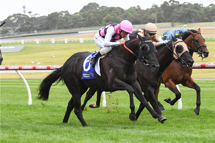 BLAKMAX winning the LockettLED.au Handicap at Ladbrokes Park Hillside in Springvale, Australia.