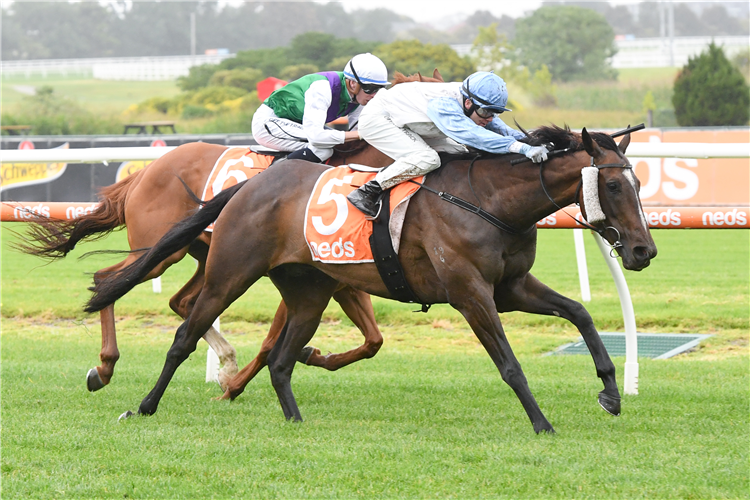 BLAZING REBEL winning the Become An MRC Member Handicap at Caulfield in Australia.