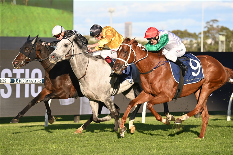 BOIS D'ARGENT winning the Lord Mayors Cup at Rosehill in Australia.