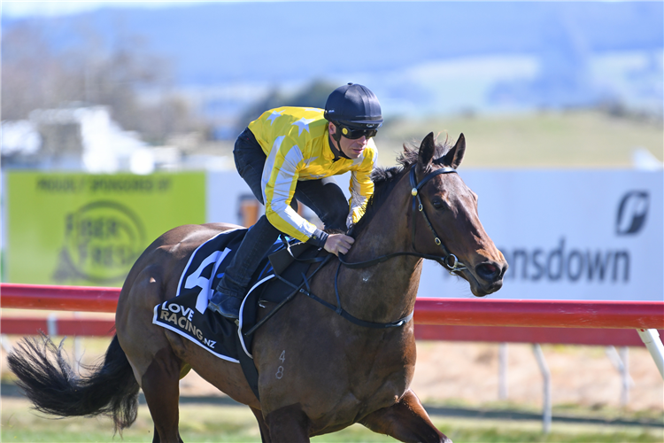 Richardson hoping fortune will favour Bonny Lass this summer