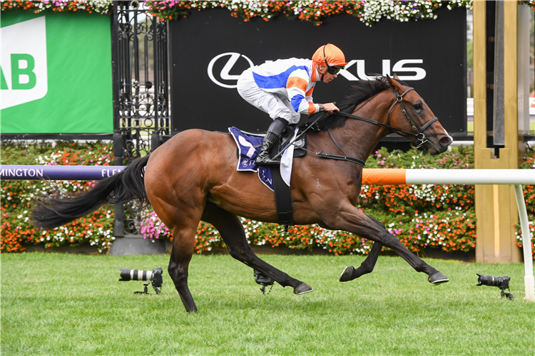BOSSY NIC winning the Thoroughbred Breeders Stakes at Flemington in Australia.