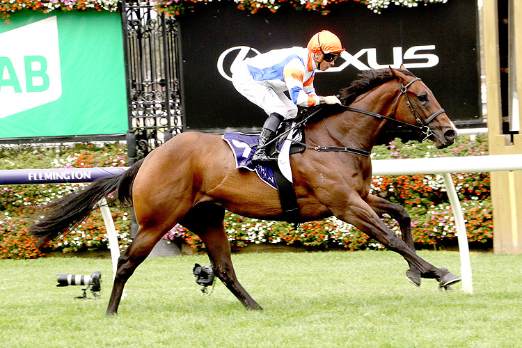 BOSSY NIC winning the TBV Thoroughbred Breeders Stakes