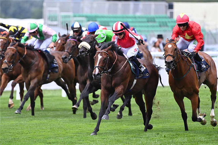 BRADSELL winning the King's Stand Stakes at Royal Ascot in England.
