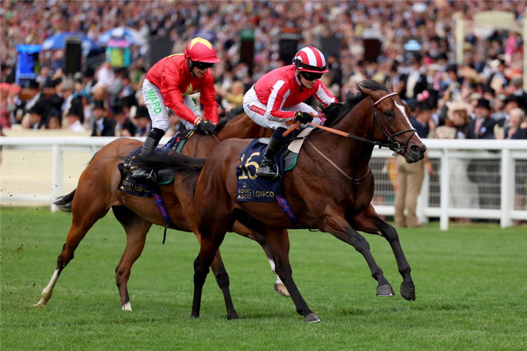 BRADSELL winning the King's Stand Stakes at Ascot in England.