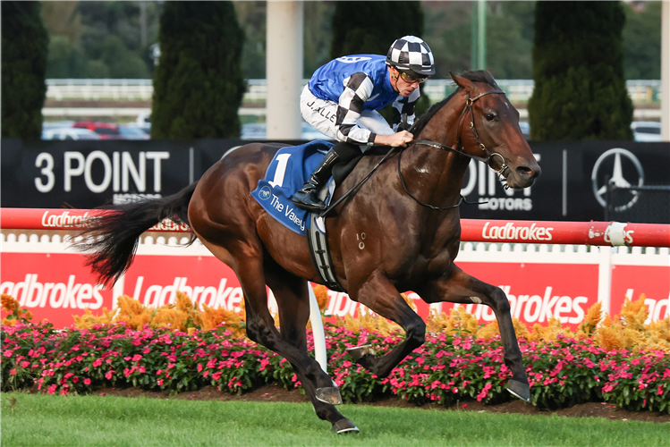 BRAVE MEAD winning the Brix Property Group Valley Pearl at Moonee Valley in Moonee Ponds, Australia.