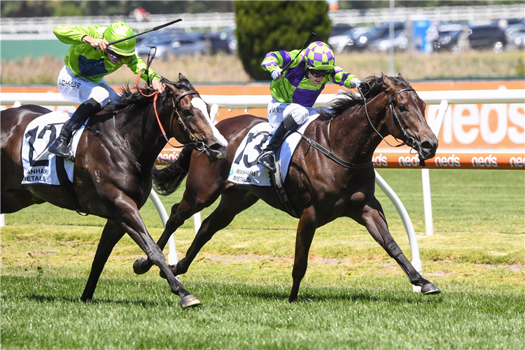 BRAZEN STYLE winning the Manhari Metals Thoroughbred Club Stakes at Caulfield in Australia.