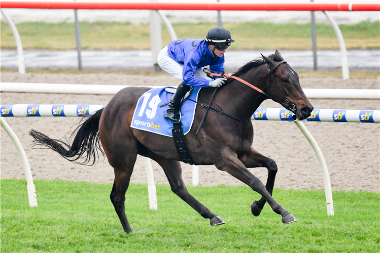 BRUNG KING winning the The Haymarket BM84 Handicap at Ballarat in Australia.