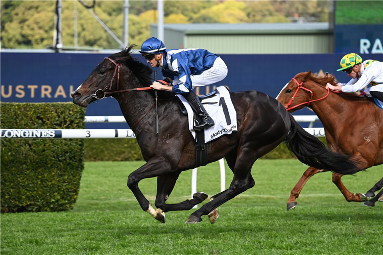 BUENOS NOCHES winning the Mostyncopper Show County Quality at Randwick in Australia.