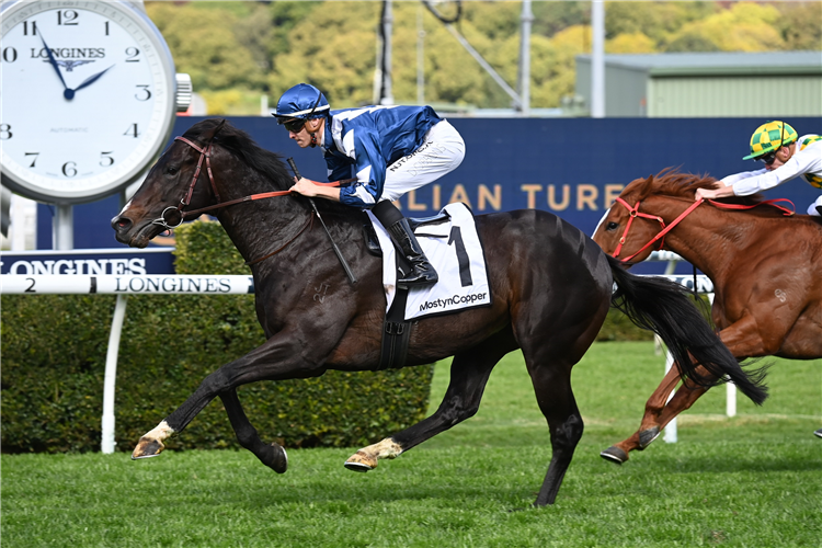 BUENOS NOCHES winning the Mostyncopper Show County Quality at Randwick in Australia.