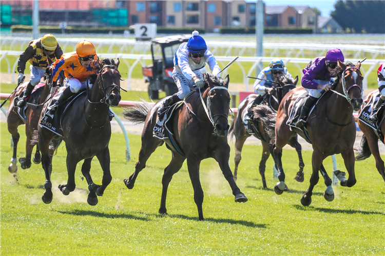 Marsh brings winning form into carnival opener