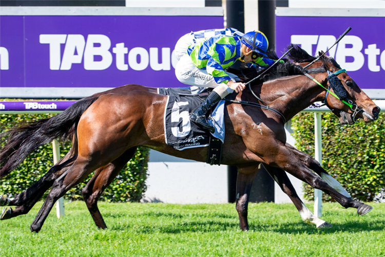 A sister to Bustler will be offered at the Perth Magic Millions Yearling Sale.