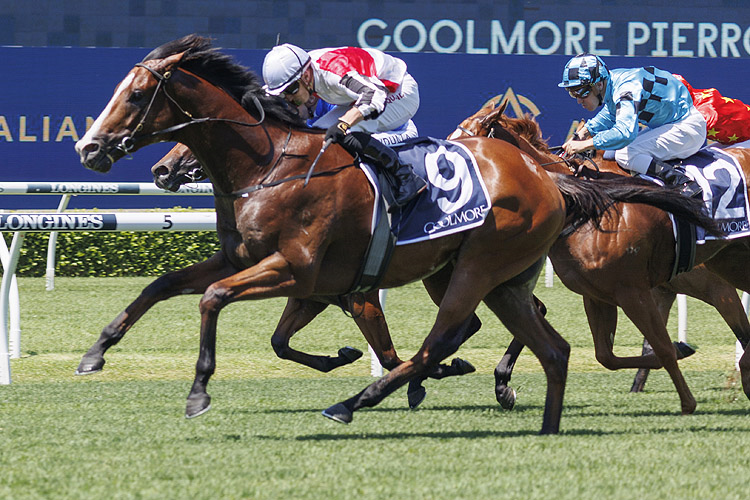 CAFE MILLENIUM winning the COOLMORE PIERRO PLATE