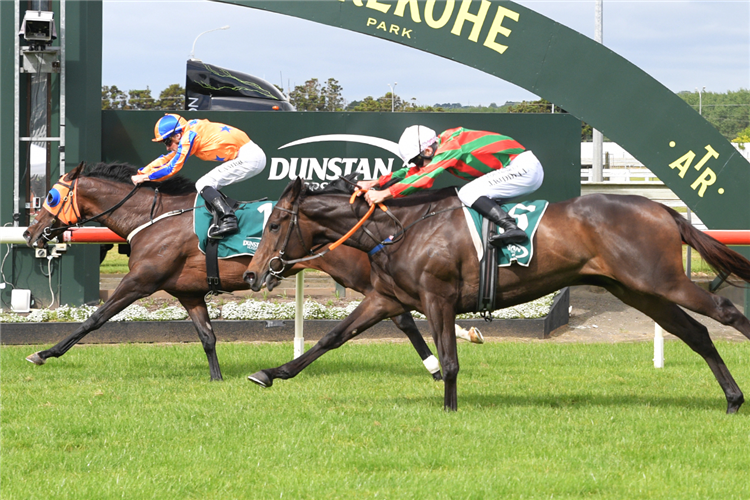 Te Akau gears up for busy Christmas