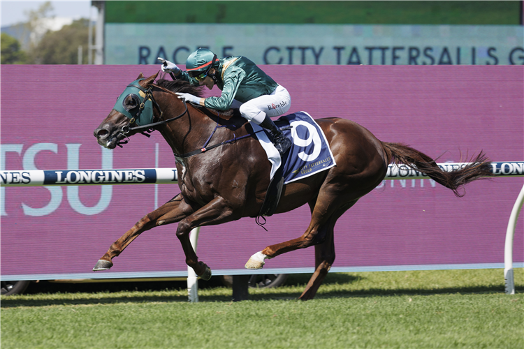 CANNONBALL winning the CITY TATTERSALLS GROUP MAURICE MCCARTEN STAKES at Rosehill in Australia.