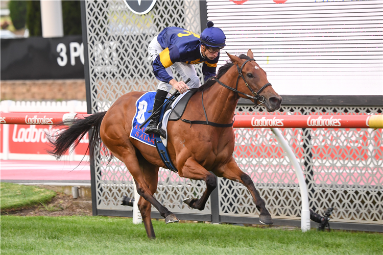 CAP DE JOIE winning the Ascend Sales Trophies Handicap at Moonee Valley in Moonee Ponds, Australia.