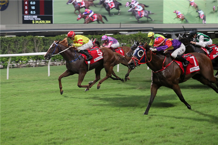 CAPITAL DELIGHT winning the THE HONG KONG COUNTRY CLUB CHALLENGE CUP (HANDICAP)