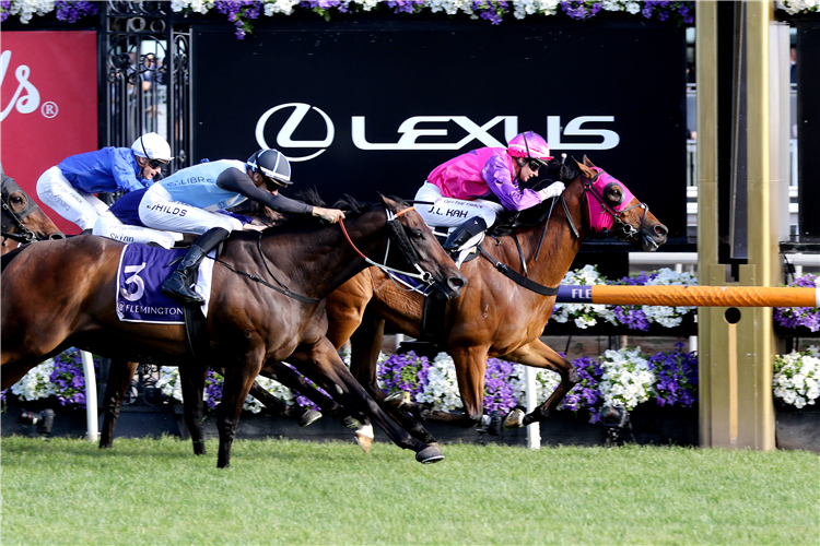 CAUSE FOR CONCERN winning the The Damien Oliver in Flemington, Australia.