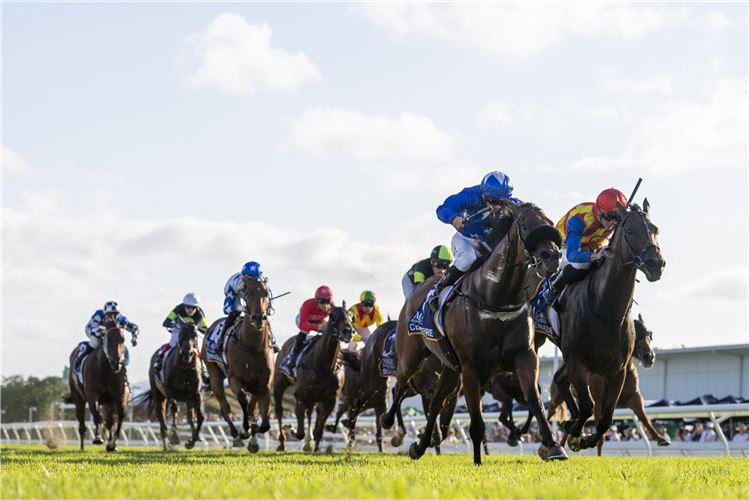 CENTREFIRE winning the $1M MAGIC MILLIONS THE SYNDICATE at Gold Coast in Australia.