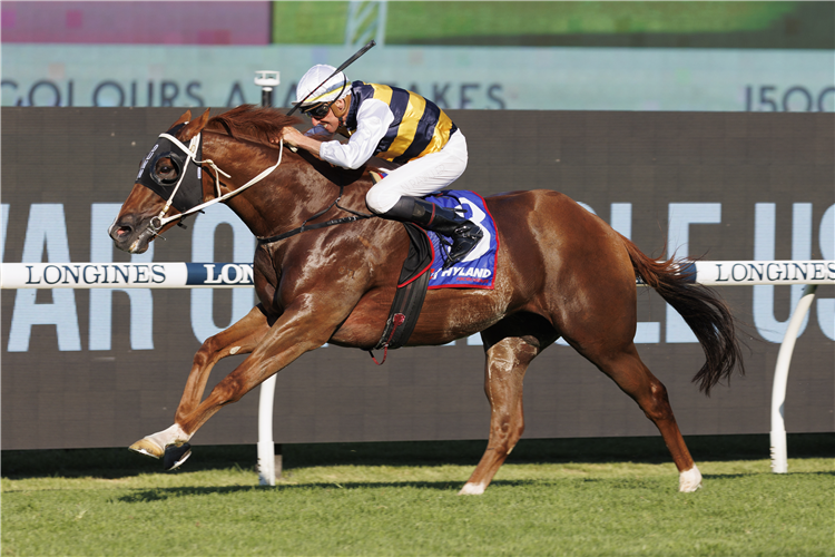 CEPHEUS winning the HYLAND RACE COLOURS AJAX STAKES at Rosehill in Australia.