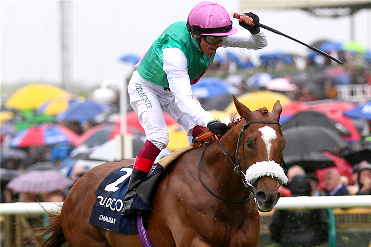 Chaldean ridden by jockey Frankie Dettori winning the Qipco 2000 Guineas Stakes. Qipco 2000 Guineas winner Chaldean has taken his exertions at Newmarket on Saturday in his stride, according to connections.