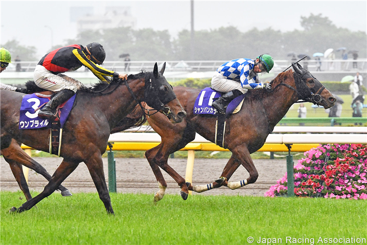 CHAMPAGNE COLOR winning the NHK Mile Cup at Tokyo in Japan.