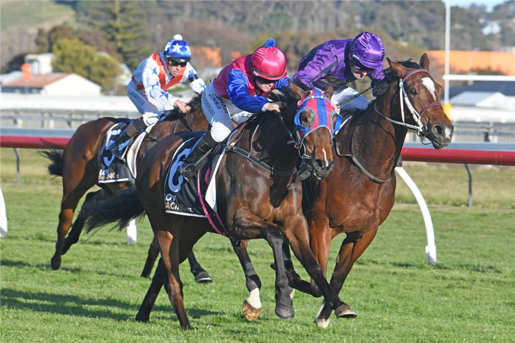 CHANTILLY LACE winning the HS DYKE WANGANUI GUINEAS