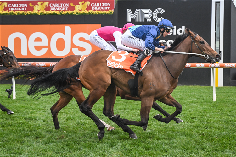 CHARM STONE winning the Neds Quezette Stakes at Caulfield in Australia.