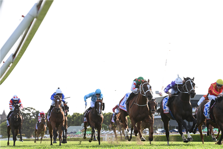 CHRYSAOR at Randwick