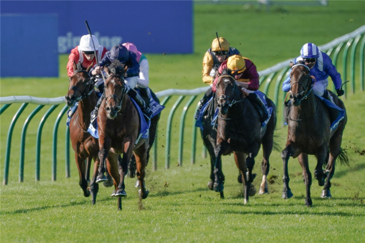 CITY OF TROY (left, dark blue cap) winning the Dewhurst Stakes at Newmarket in England.