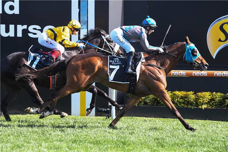 CLAIDHEAMH MOR winning the Metcap Finance Victorian Country Cups Final at Caulfield in Australia.