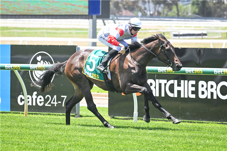 CLIMATE CHANGE winning the Wilsons Real Estate 2YO Maiden Plate in Geelong, Australia.