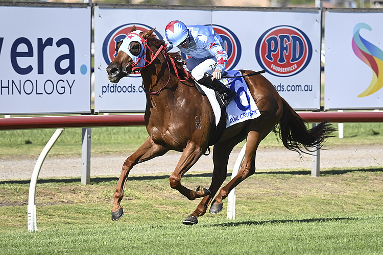 COAL CRUSHER winning the THE NEWCASTLE HERALD HUNTER.