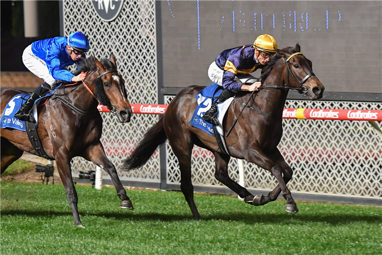 COEUR VOLANTE winning the University Food Group Scarborough Stakes at Moonee Valley in Australia.