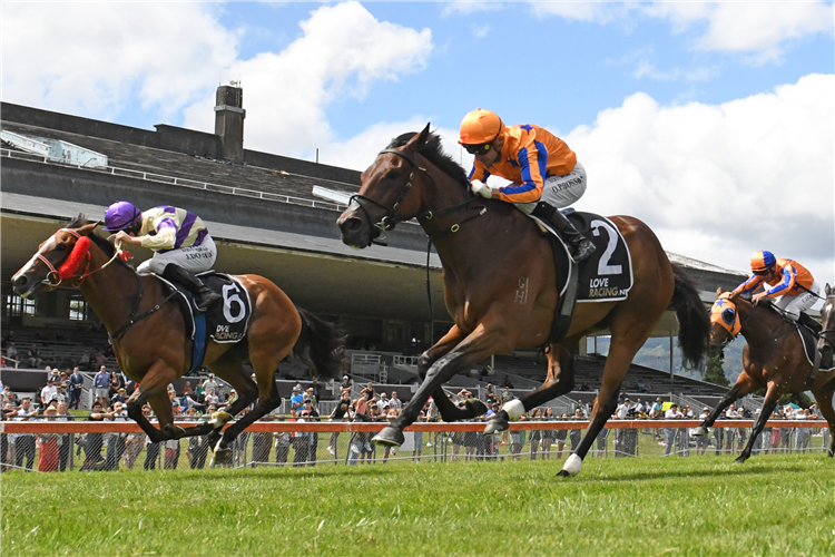 Cognito gets the better of Duncan Creek (wide) at the finish of the Gr.2 Life Edition Wellington Guineas (1400m)