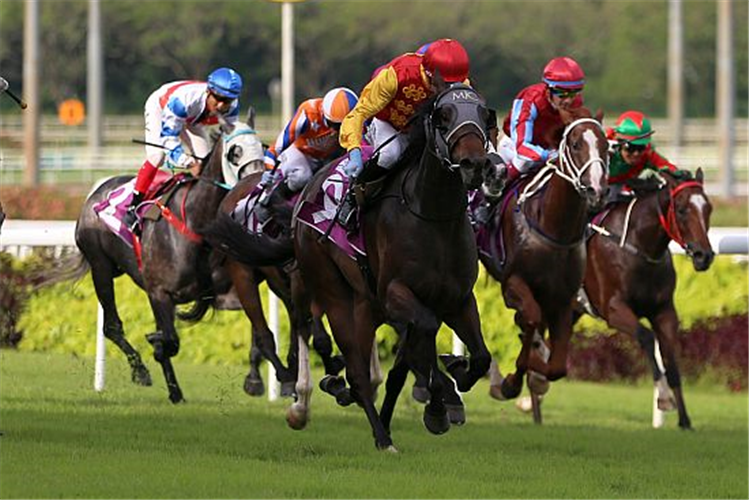 COIN TOSS winning the SINGAPORE THREE-YEAR-OLD CLASSIC GROUP 2