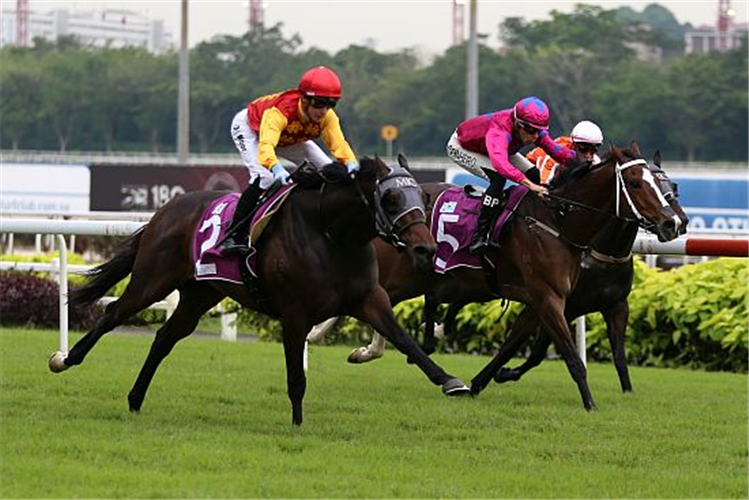 COIN TOSS winning the SINGAPORE GUINEAS GROUP 2