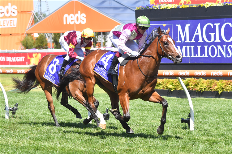 COLEMAN winning the Magic Millions Debutant Stakes in Caulfield, Australia.