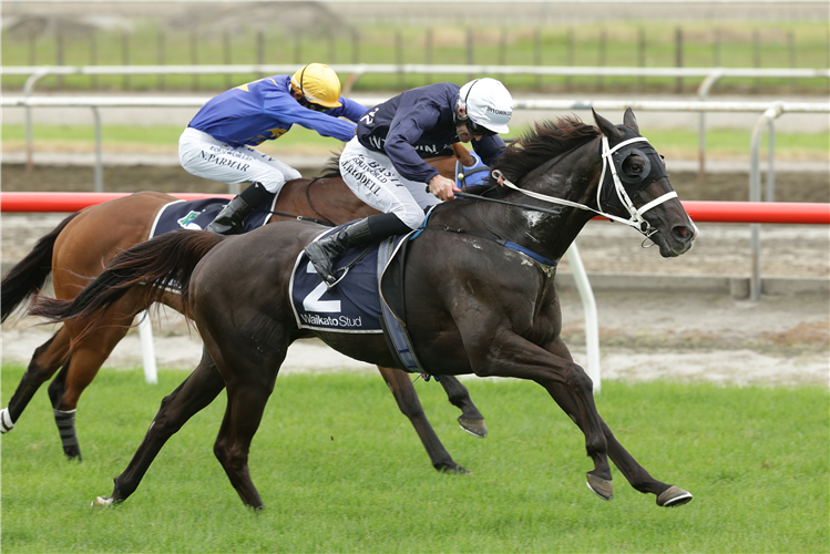 COLORADO STAR winning the MATAMATA VETERINARY SERVICES KAIMAI STAKES