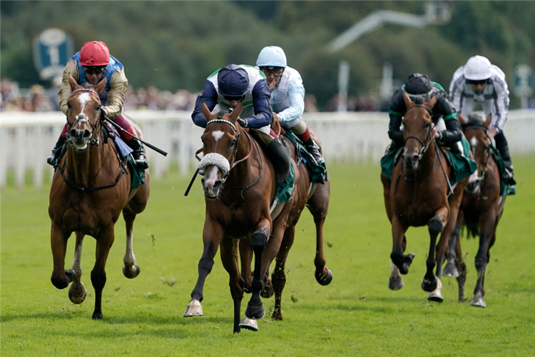 COLTRANE (C, blue cap) winning the Lonsdale Cup Stakes at York in England.