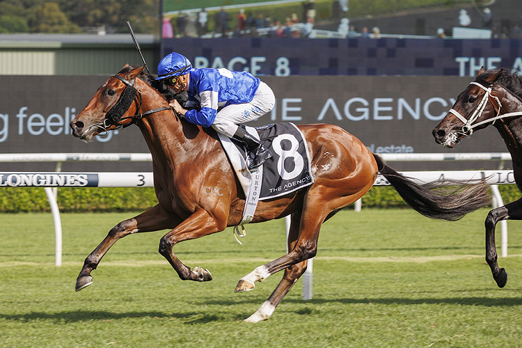 COMMUNIST winning the THE AGENCY RANDWICK GUINEAS.