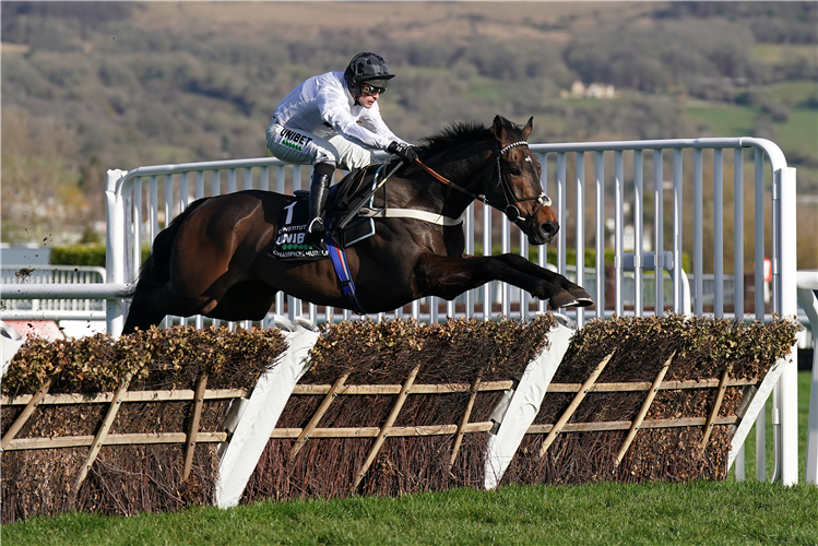 CONSTITUTION HILL winning the Unibet Champion Hurdle Challenge Trophy (Grade 1) (GBB Race) at Cheltenham Racecourse.