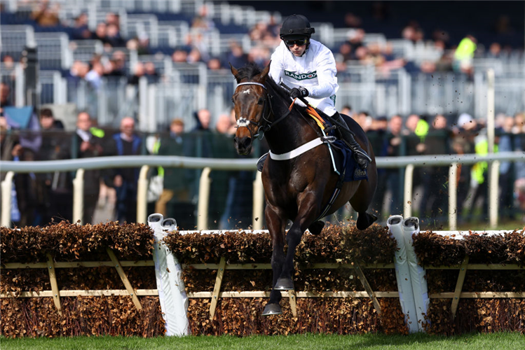 CONSTITUTION HILL winning the Aintree Hurdle at Aintree in Liverpool, England.