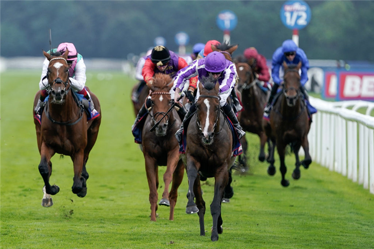 CONTINUOUS (purple cap) winning the St Leger Stakes at Doncaster in England.